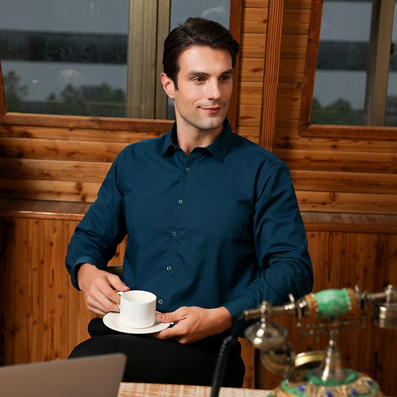 Men's Regular-fit Long Sleeve Stretch Easy Care Shirt Formal Business Office/Working Wear