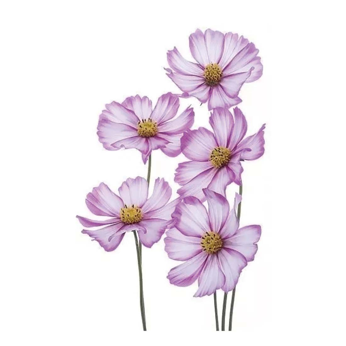 3D Water Transfer Sticker Body Tattoo Sticker Waterproof Temporary Decal Leg Body Art Tattoo Flower Removable Cover Scar