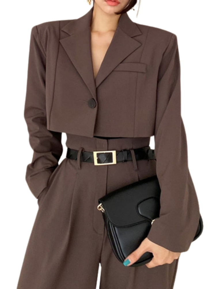 Office Lady Blazer Suits Vintage Two Piece Set Women Long Sleeve Short Blazer  High Waist Wide Leg Long Pants 2 Piece Outfits